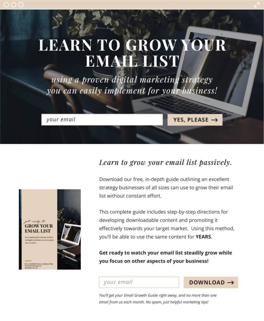 Example of a lead magnet landing page